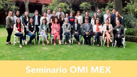 Seminario OMI MEX sobre Diabetes